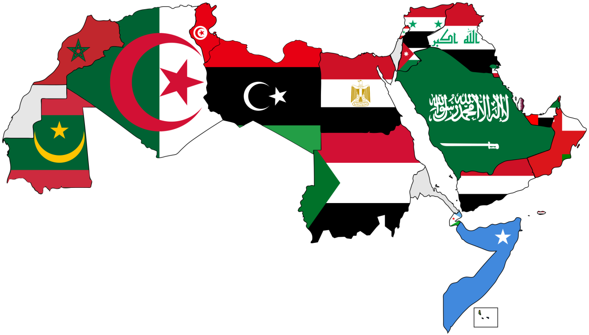 مقدمة في عملية تطوير واقع الدولة العربية